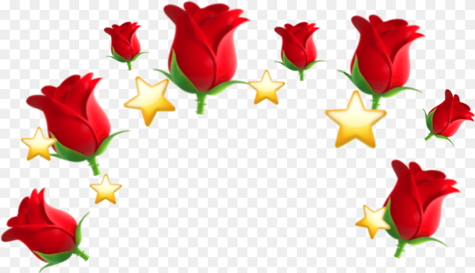 Emoji Crown Emojicrown Foryou Lol Sticker Garden Roses, Flower, Petal, Plant, Rose Free Png