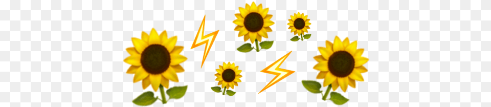 Emoji Crown Iphone Yellow Flower Aesthetic Flower Emoji Crown, Plant, Sunflower Free Transparent Png