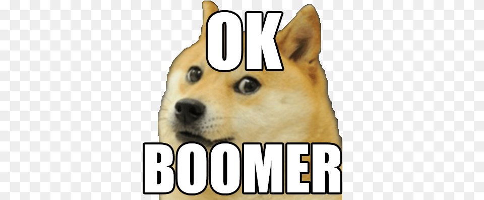 Emoji Directory Discord Street Ok Boomer Discord Emoji, Animal, Canine, Dog, Husky Png