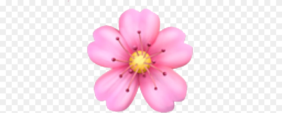 Emoji Domain Flower Iphone Flower Emoji, Anemone, Anther, Petal, Plant Free Png