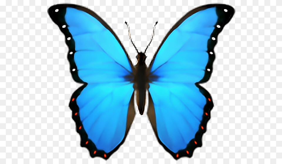 Emoji Emoji Butterfly, Person, Animal, Insect, Invertebrate Free Transparent Png