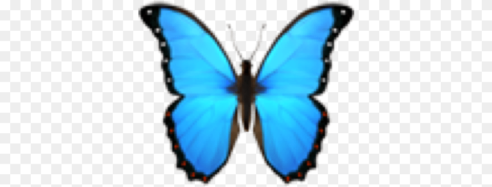 Emoji Emojiface Emojis Cute Aesthetic Multicolor Blue Butterfly Emoji, Animal, Insect, Invertebrate, Festival Free Png Download