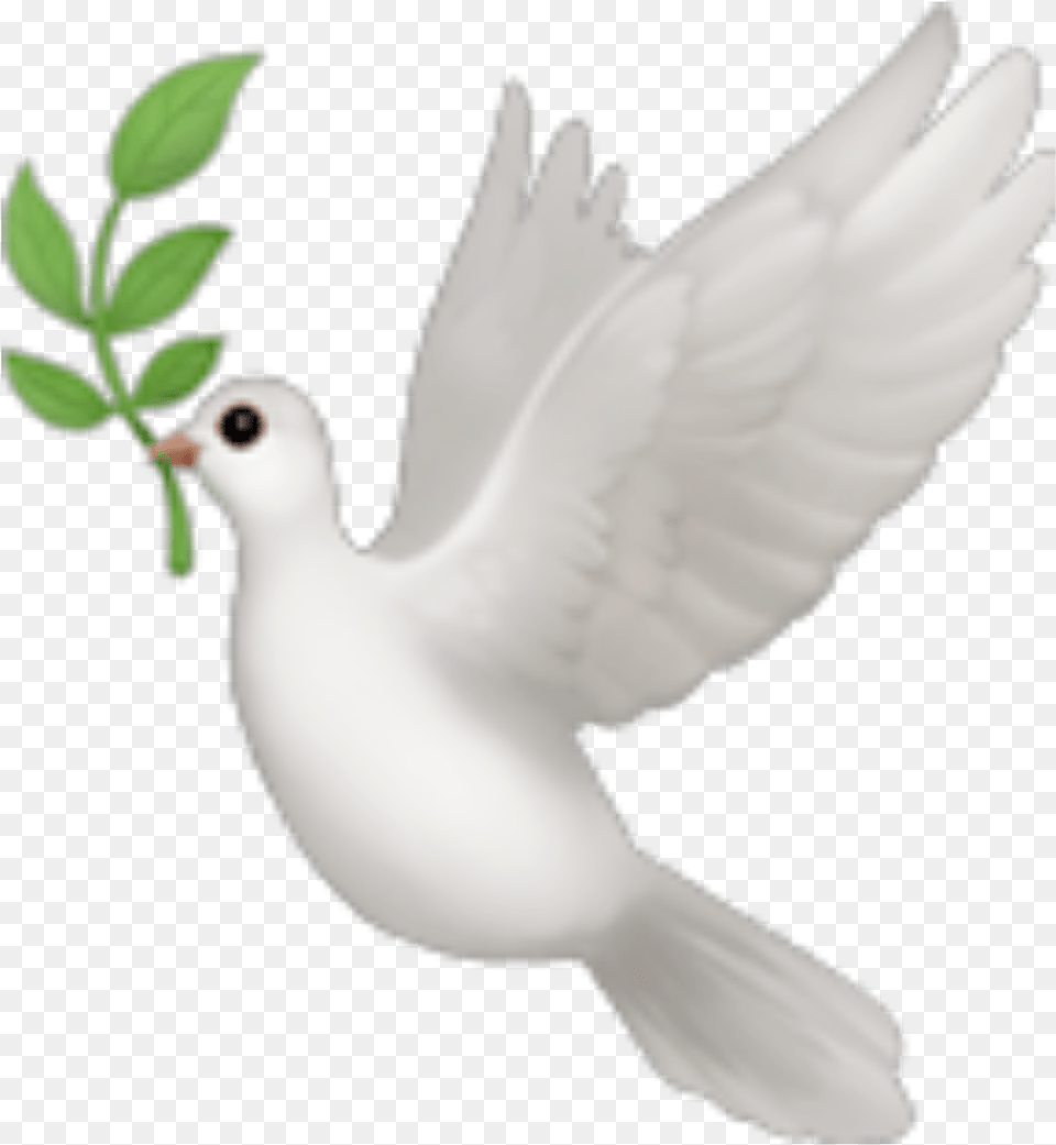 Emoji Emojis Bird Dove Emoji Bird, Animal, Pigeon Free Png