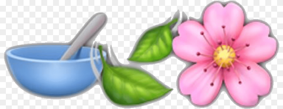 Emoji Emojis Nature Iphone Background Trendy Rosa Rubiginosa, Flower, Herbal, Herbs, Petal Png