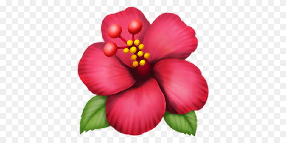 Emoji Fleur Fleur Flora Rose Pink Apple Iphone, Flower, Hibiscus, Plant, Petal Png Image