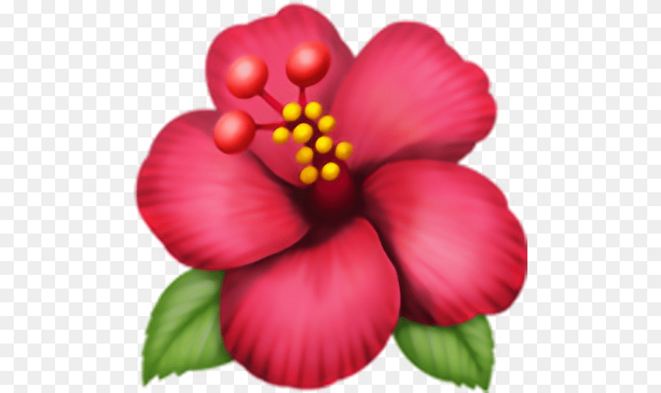 Emoji Flor Pngtumblr Adesivo Flower, Hibiscus, Plant, Petal, Rose Free Transparent Png