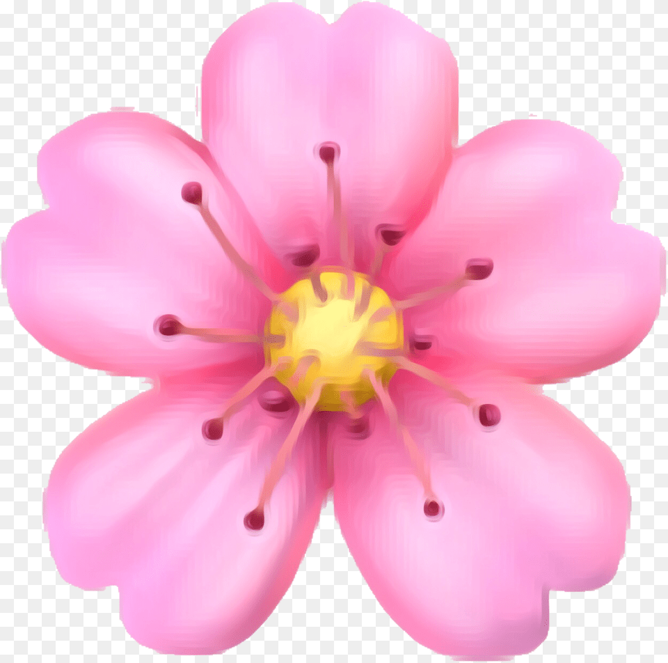 Emoji Flower Flower Emoji, Anther, Petal, Plant, Anemone Png