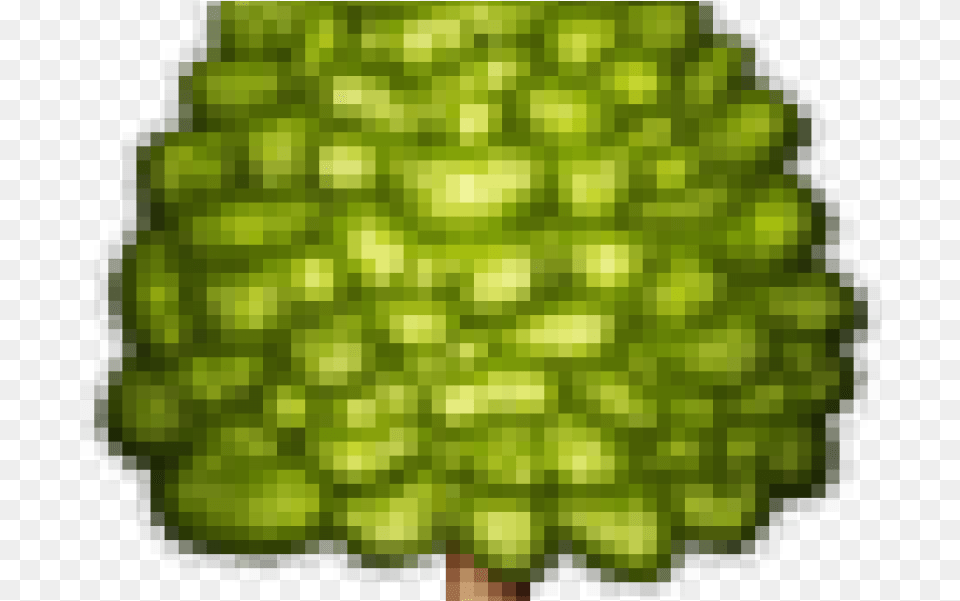 Emoji Home Bear Poop Tree Emoji, Plant, Green, Moss, Leaf Free Png