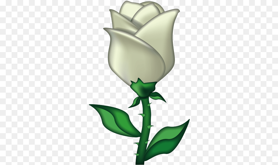 Emoji Iphone White Rose Emoji, Flower, Plant Free Png
