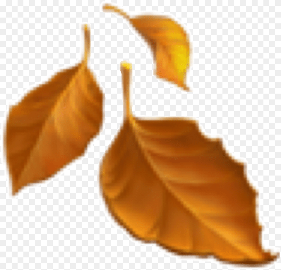 Emoji Leaf Fall Blatt Bltter Freetoedit Fall Leaves Emoji, Plant, Person, Tree Png Image