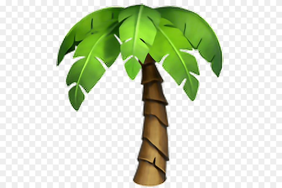 Emoji Palmera, Palm Tree, Plant, Tree, Leaf Png Image