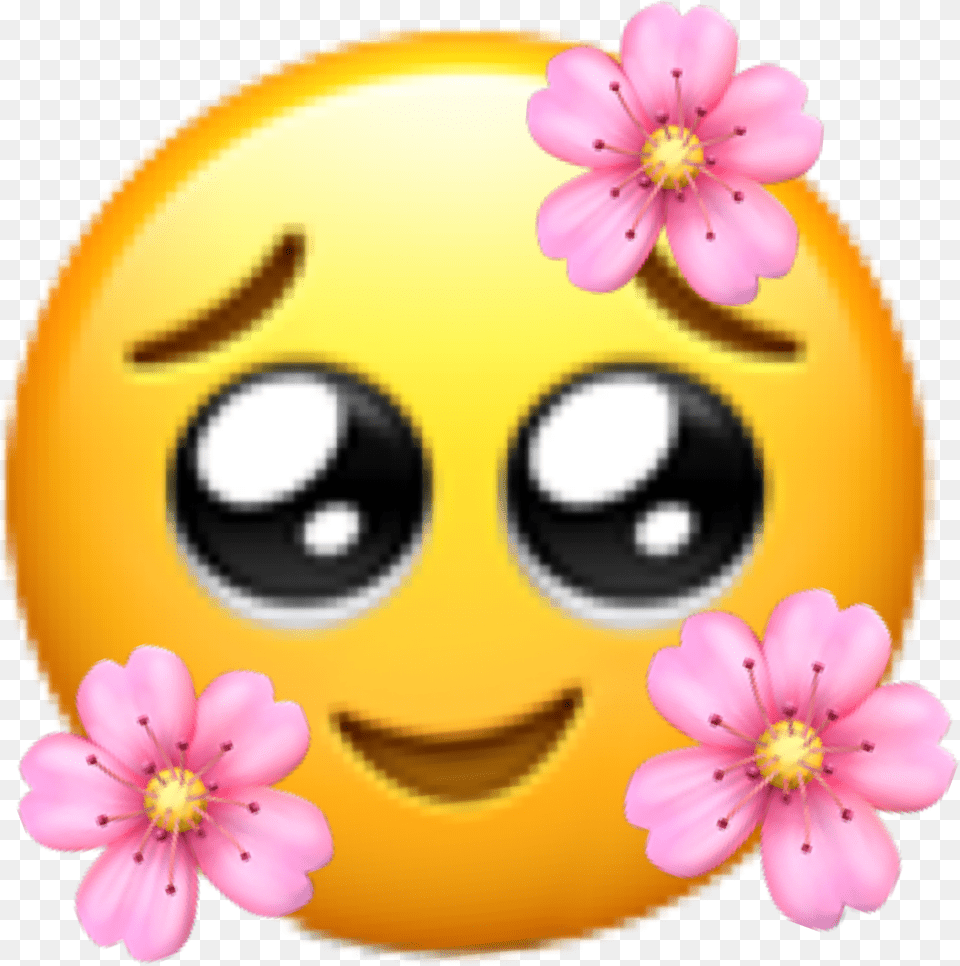 Emoji Reaction Meme Twitter, Flower, Petal, Plant, Daisy Free Png Download