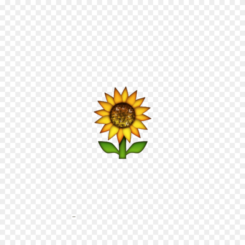 Emoji Sunflower, Flower, Petal, Plant, Daisy Free Transparent Png