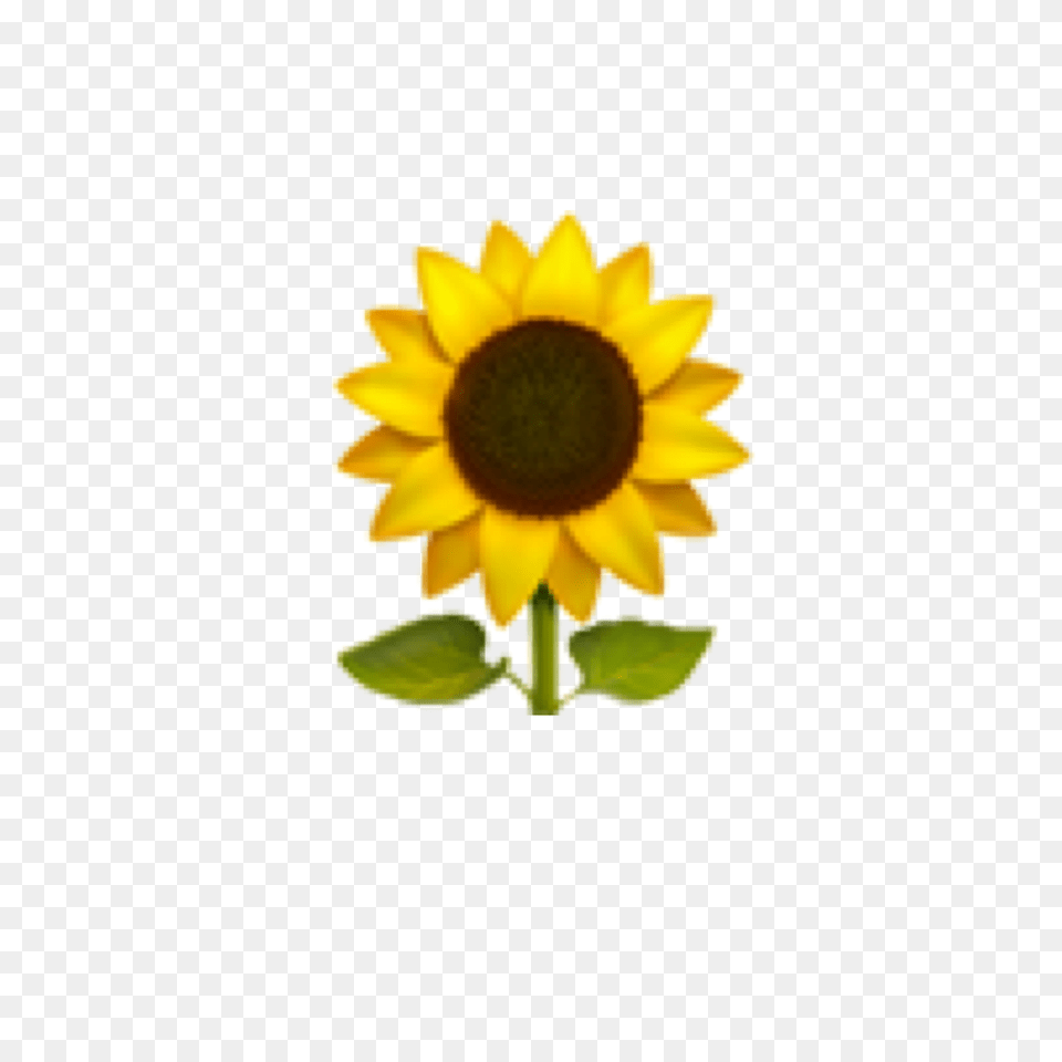 Emoji Sunflower Emojis Cute Cuteemoji Yellow Green Over Sunflower Emoji, Flower, Plant Png Image