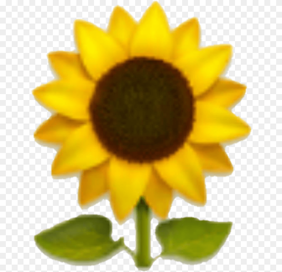 Emoji Sunflower Yellow Yellowflower Emoji Sunflower, Flower, Plant Free Transparent Png