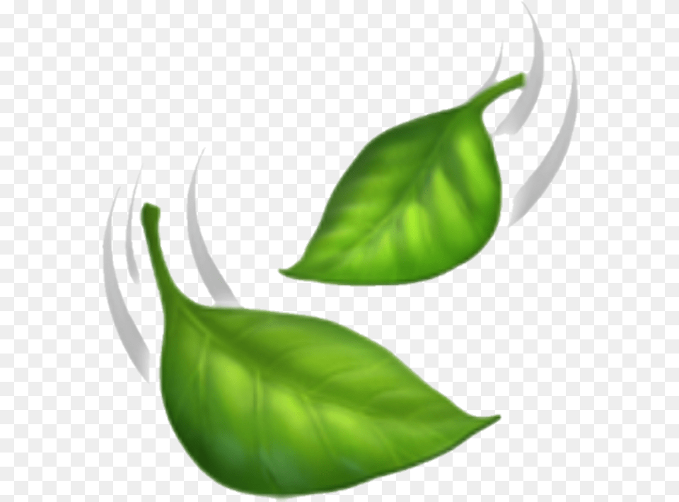 Emojileavesnature Falling Leaves Emoji, Herbal, Herbs, Leaf, Plant Free Png Download