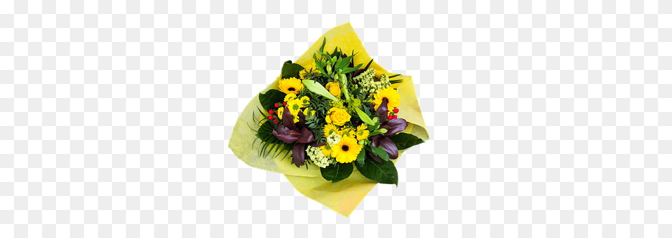 Emotion Flower, Flower Arrangement, Flower Bouquet, Plant Png Image