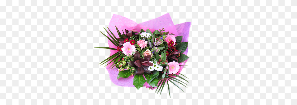 Emotion Flower, Flower Arrangement, Flower Bouquet, Plant Free Png