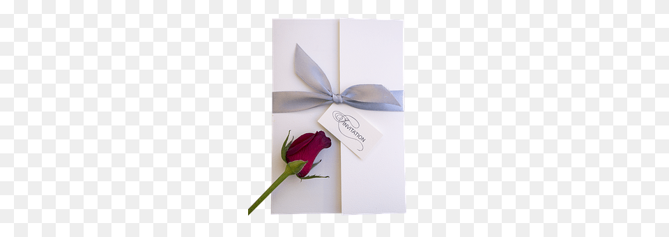 Emotion Rose, Plant, Flower, Envelope Free Transparent Png