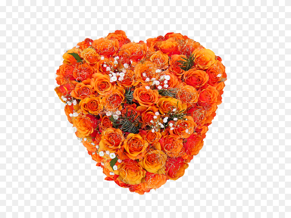 Emotions Flower, Flower Arrangement, Flower Bouquet, Plant Free Png Download