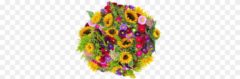 Emotions Flower Plant Bouquet Birthday Flower, Art, Floral Design, Flower Arrangement, Flower Bouquet Free Png Download
