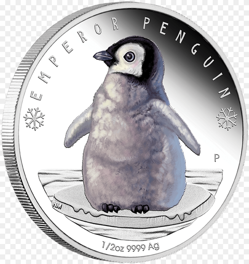 Emperor Penguin, Animal, Bird, Coin, Money Png Image