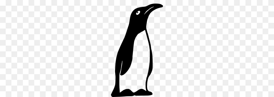 Emperor Penguin Gray Free Png Download