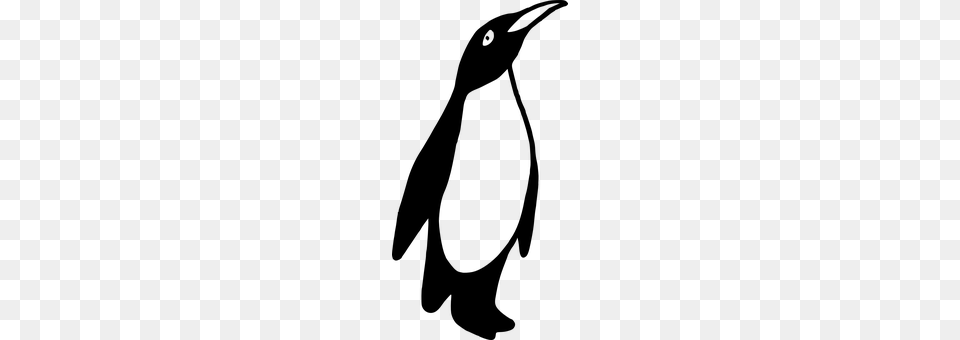 Emperor Penguin Gray Free Png