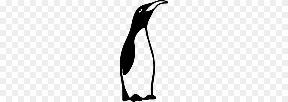 Emperor Penguin Gray Free Png