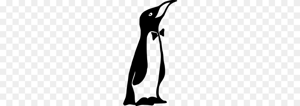 Emperor Penguin Gray Png