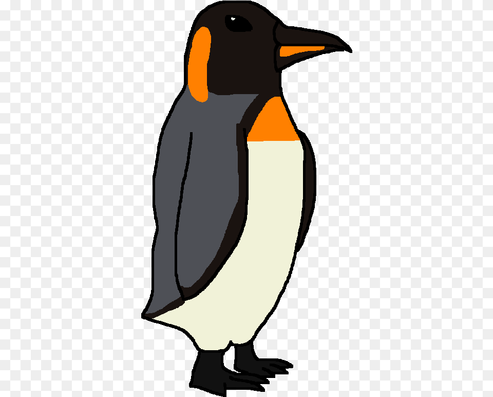Emperor Penguin, Animal, Bird, King Penguin, Person Free Transparent Png