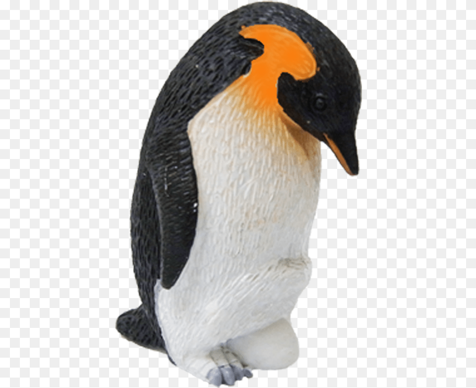 Emperor Penguin, Animal, Bird, King Penguin Png