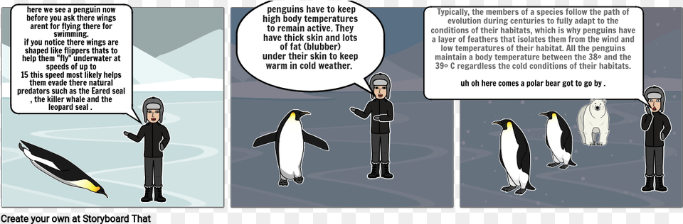 Emperor Penguin, Animal, Bird, Book, Comics Free Png Download