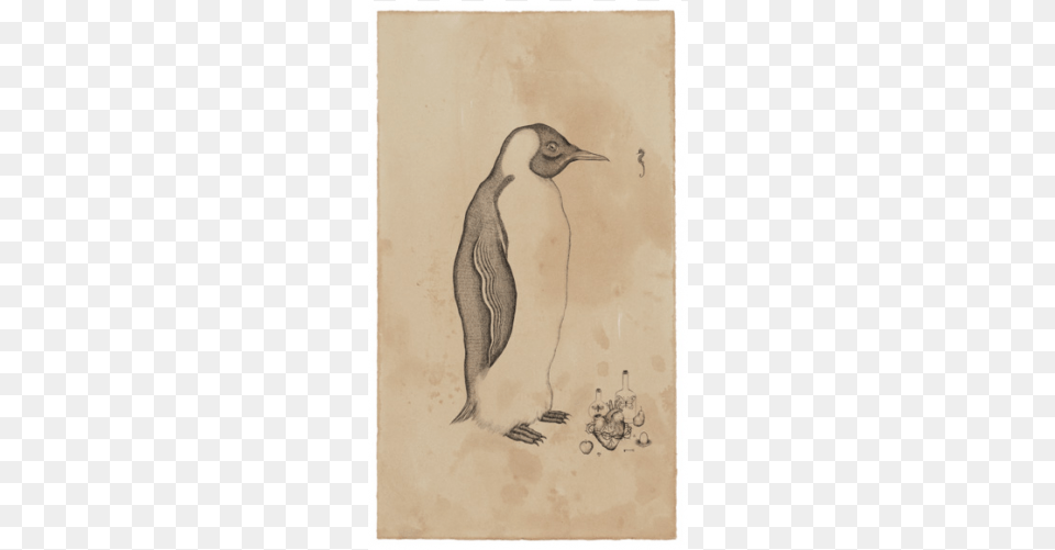 Emperor Penguin, Animal, Bird, Art Png Image