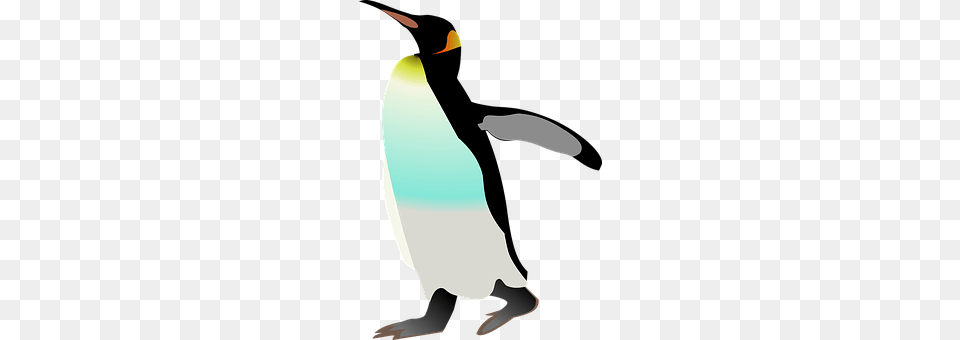 Emperor Penguin Animal, Bird, King Penguin, Smoke Pipe Png