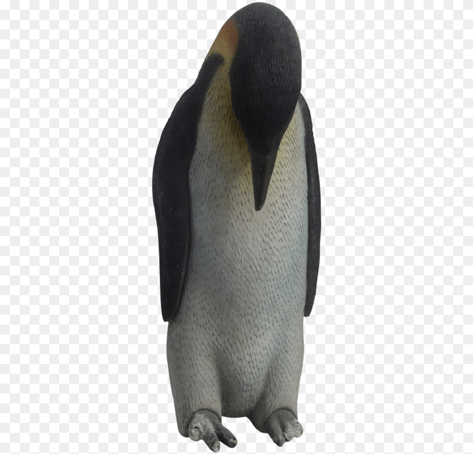 Emperor Penguin, Animal, Bird, King Penguin Png