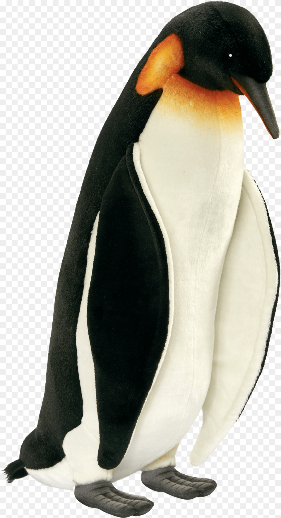 Emperor Penguin 74 Cm Penguin, Animal, Bird, King Penguin Free Png