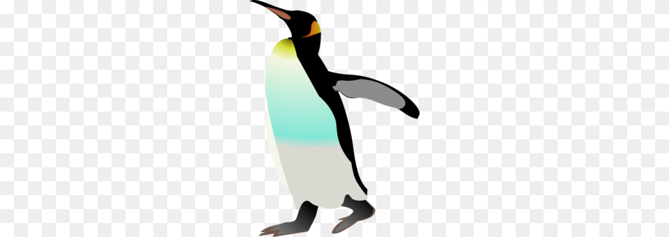 Emperor Penguin Bird Antarctica Gentoo Penguin, Animal, King Penguin Free Png