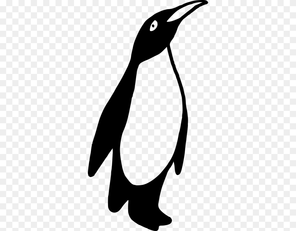 Emperor Penguin Bird Black And White Animal, Gray Free Png Download