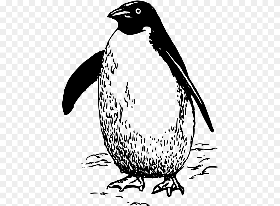 Emperor Penguin Bird Drawing Line Art Penguin Black And White Clip Art, Gray Free Png Download
