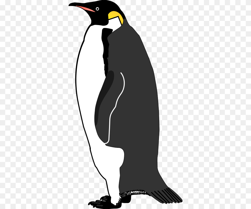 Emperor Penguin Bird Vector Graphics Penguin, Animal, King Penguin, Adult, Female Png Image
