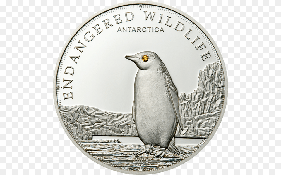 Emperor Penguin Cit Coin Invest Trust Ag B Jmj English Medium School Athani, Animal, Bird, Money Free Png