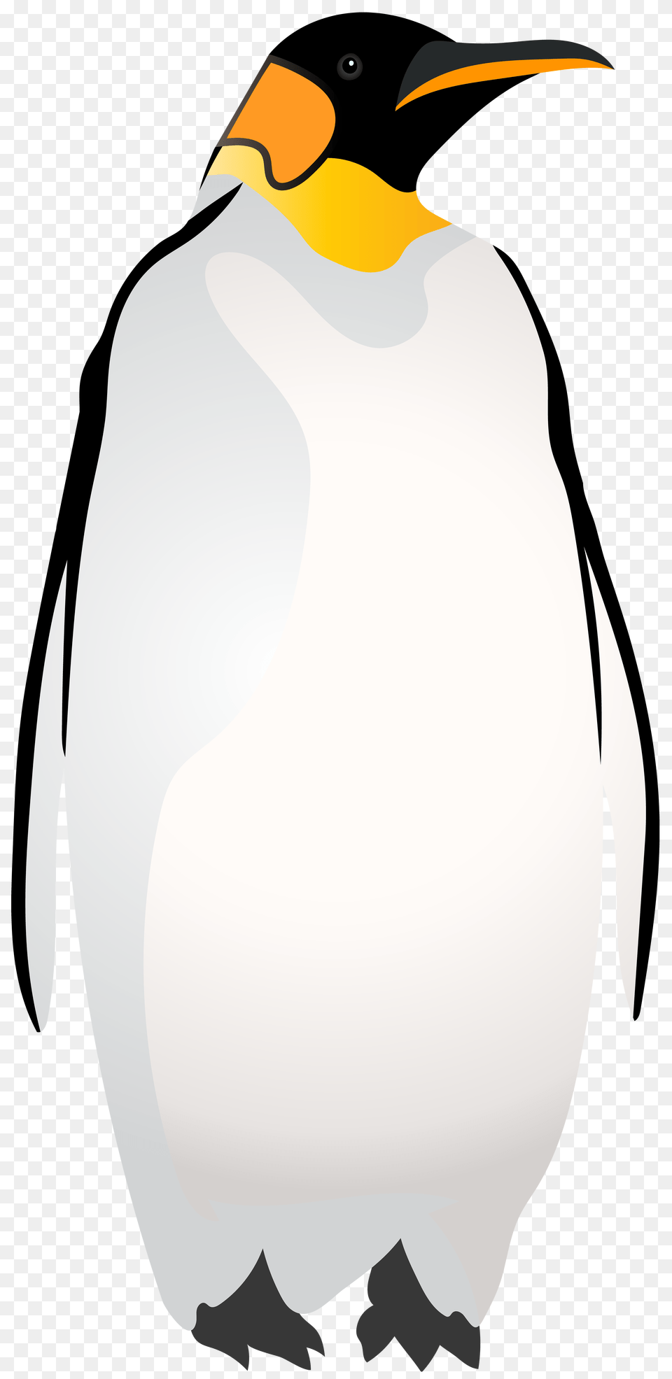 Emperor Penguin Clip, Animal, Bird, King Penguin, Kangaroo Free Transparent Png