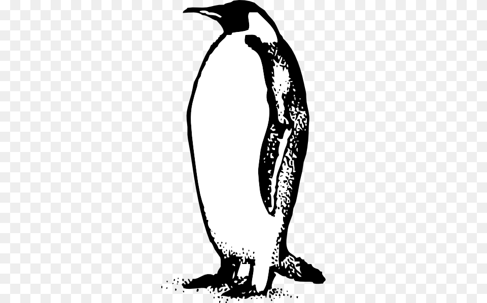 Emperor Penguin Clipart Black And White, Animal, Bird, King Penguin, Person Free Transparent Png
