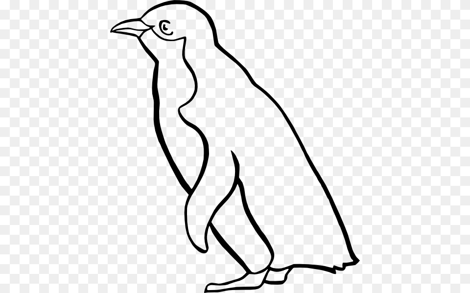 Emperor Penguin Clipart Clip Art Baby Penguin Clip Art Black And White, Animal, Kangaroo, Mammal, Bird Png
