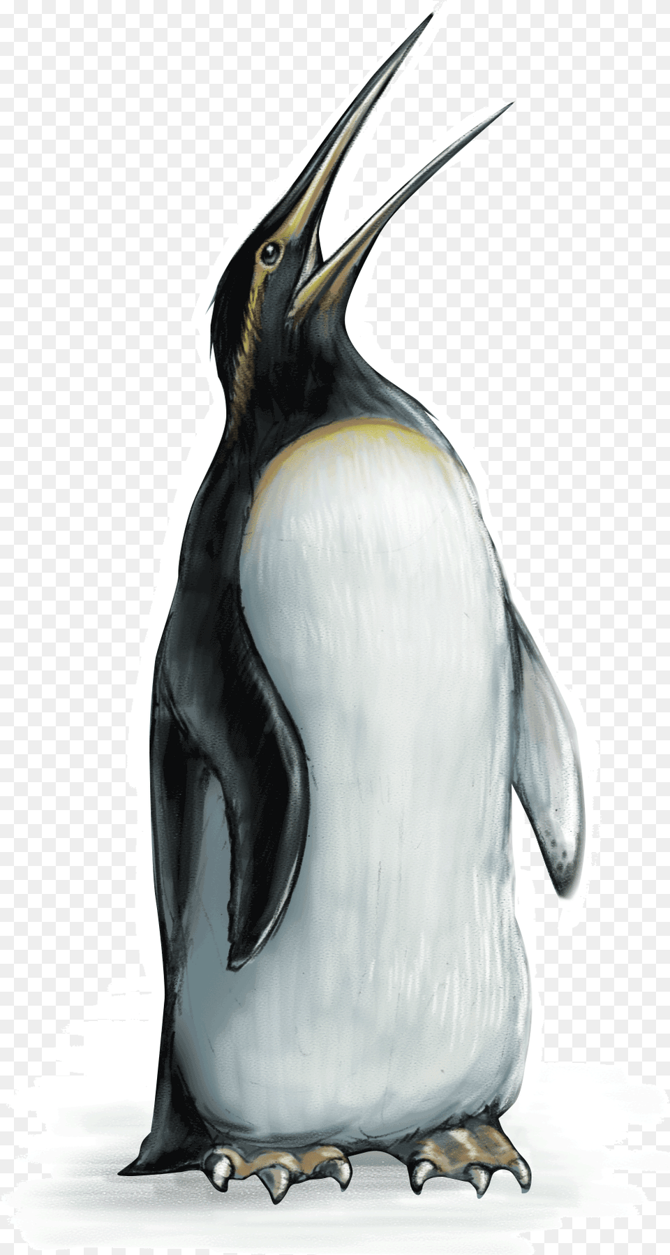 Emperor Penguin Emperor Penguin, Animal, Bird Png Image