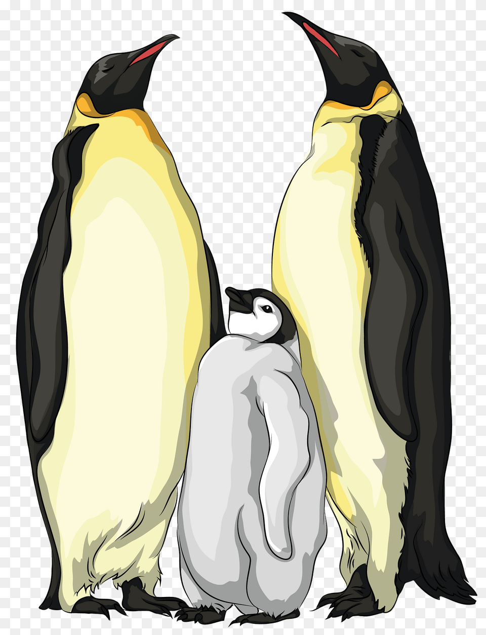 Emperor Penguin Family Clipart, Animal, Bird, King Penguin Free Transparent Png
