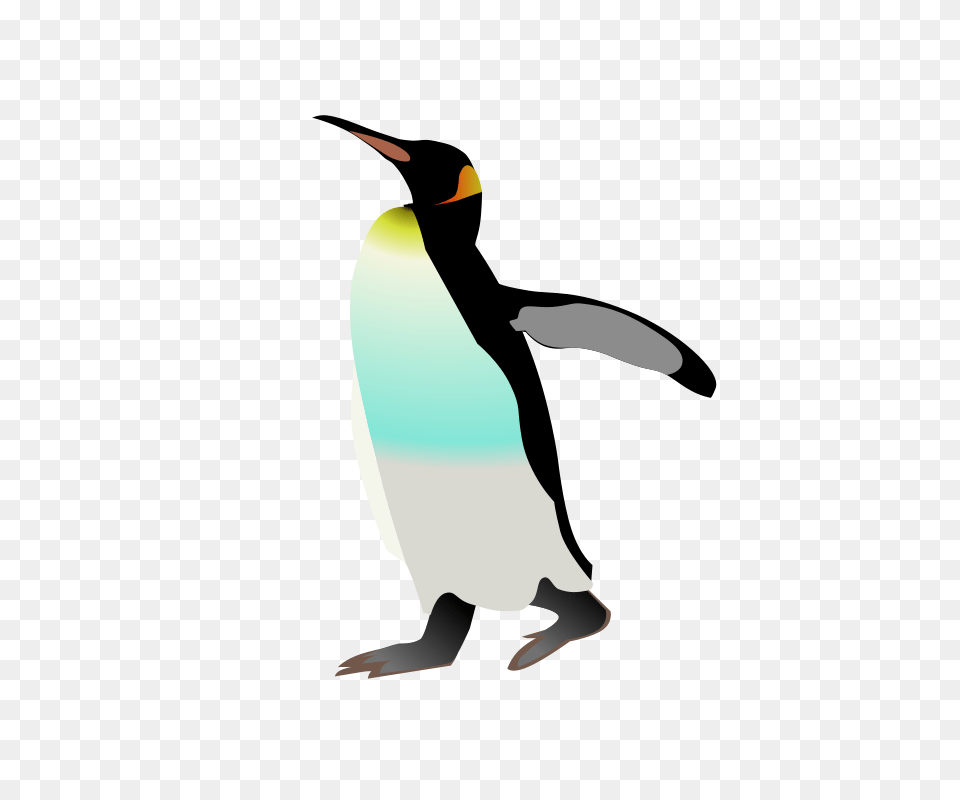 Emperor Penguin Ralf Ste, Animal, Bird, King Penguin Free Png