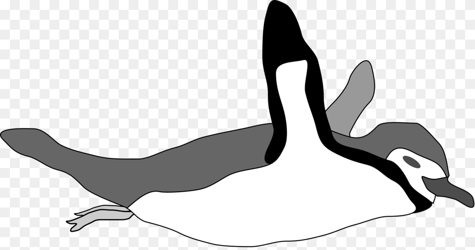 Emperor Penguin Swimming Drawing Computer Icons, Animal, Bird, Goose, Waterfowl Png Image
