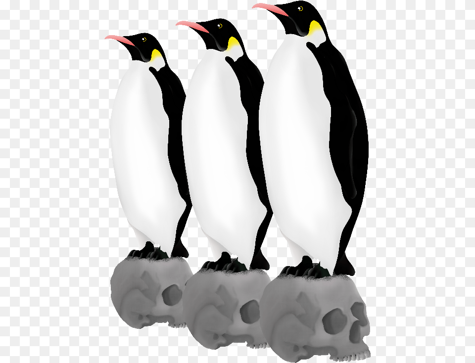 Emperor Penguins Skulls Adlie Penguin, Animal, Bird, King Penguin Png Image